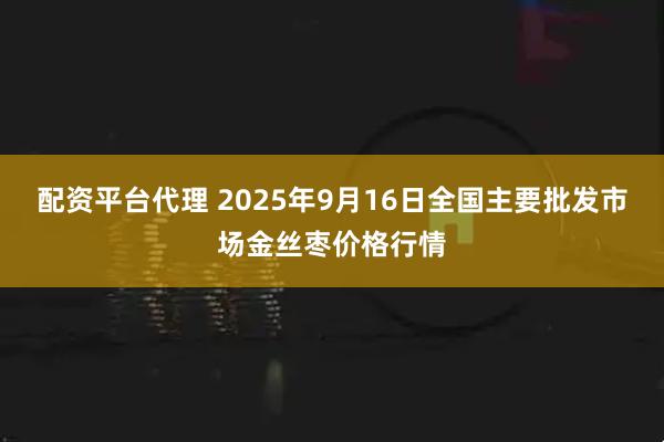 配资平台代理 2025年9月16日全国主要批发市场金丝枣价格行情
