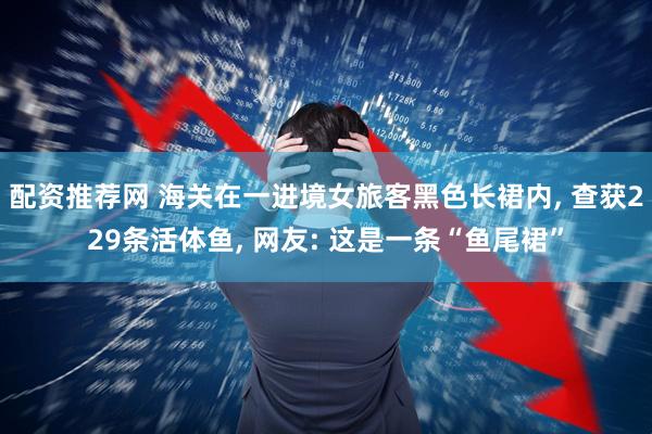 配资推荐网 海关在一进境女旅客黑色长裙内, 查获229条活体鱼, 网友: 这是一条“鱼尾裙”